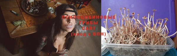 прущие крисы Алзамай