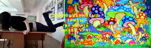 шишки Алексеевка