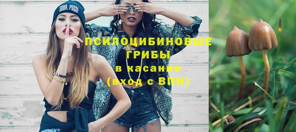 таблы Каменногорск