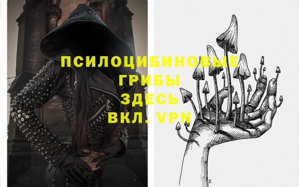 прущие крисы Алзамай