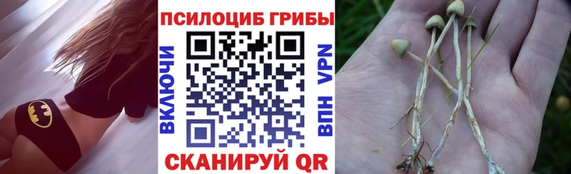 Псилоцибиновые грибы MAGIC MUSHROOMS  Азнакаево 